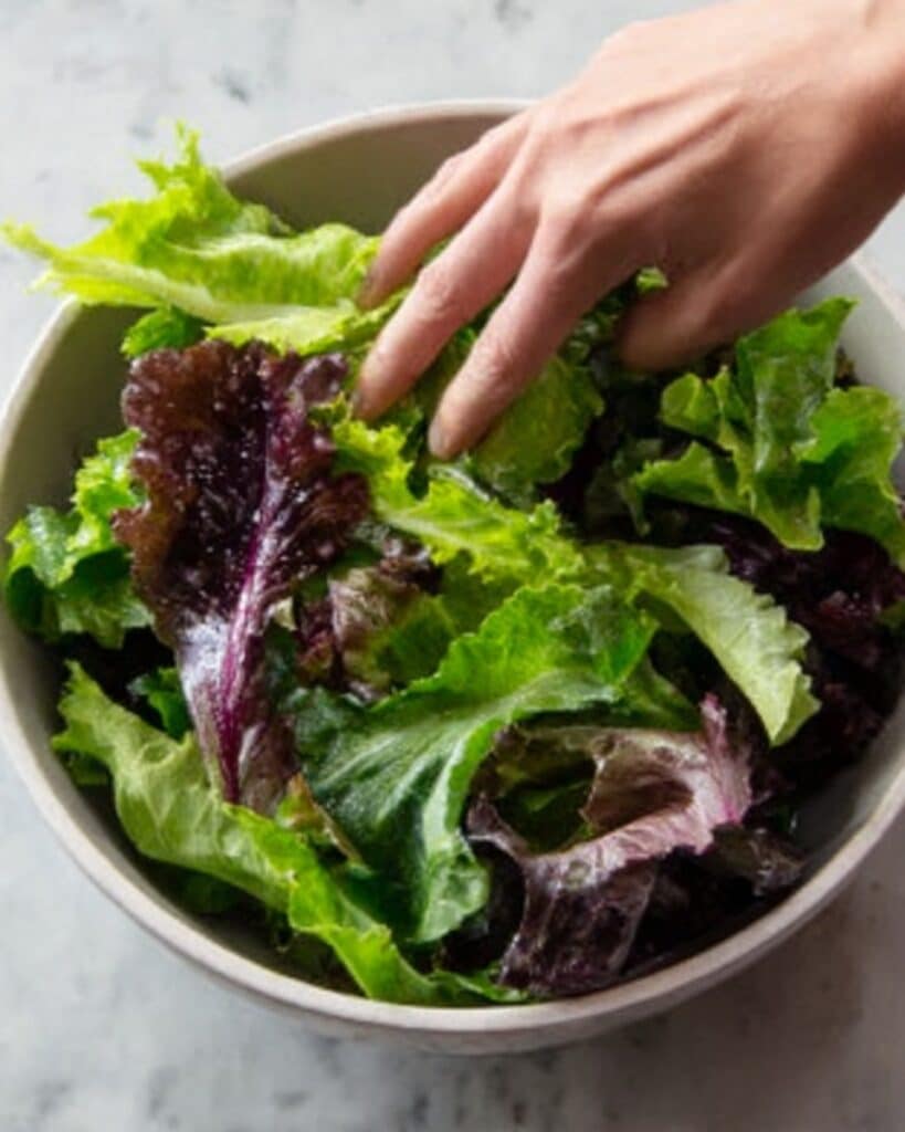 Simple Spring Mix Salad with Lemon Vinaigrette Recipe