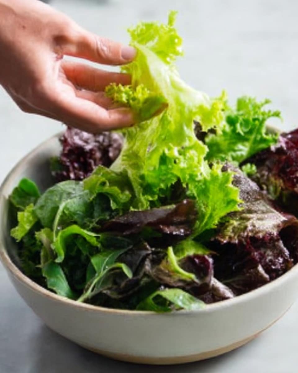A white bowl filled with a fresh leafy salad showing a mix of green and purple lettuce leaves with a woman's hand reaching into the bowl to pick up some leaves. The lettuce is vibrant and slightly shiny, giving a crisp and fresh look, all placed on a white marbled surface. Photo taken with an iphone --ar 4:5 --v 7